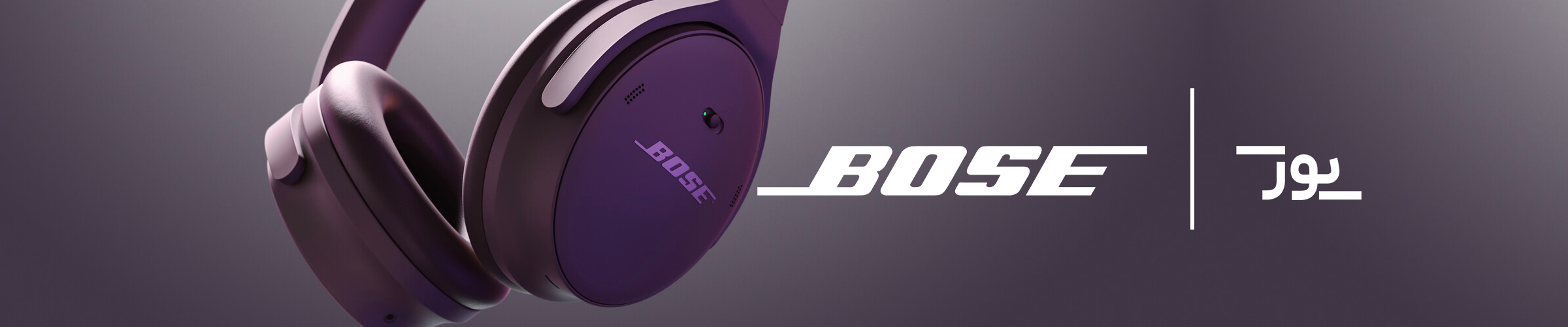 bose banner 2