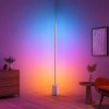 چراغ هوشمند گووی Govee RGBIC Floor Lamp Lyra