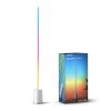 چراغ هوشمند گووی Govee RGBIC Floor Lamp Lyra