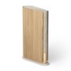 اسپیکر بنگ اند آلفسن دست دوم مدل Bang & Olufsen Emerge