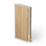اسپیکر بنگ اند آلفسن دست دوم مدل Bang & Olufsen Emerge