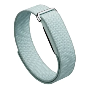 دستبند هوشمند ورزشی فیت بیت گوگل مدل Google Fitbit Air رنگ سبز
