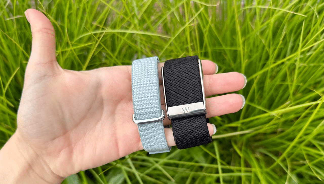 مقایسه Google Fitbit Air با Whoop
